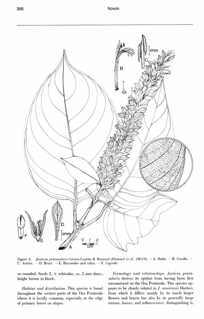 no HD illustration available (m5)