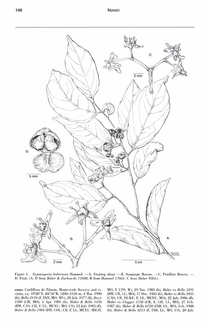no HD illustration available (m5)