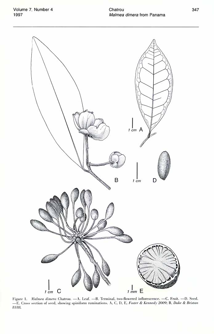 no HD illustration available (m5)