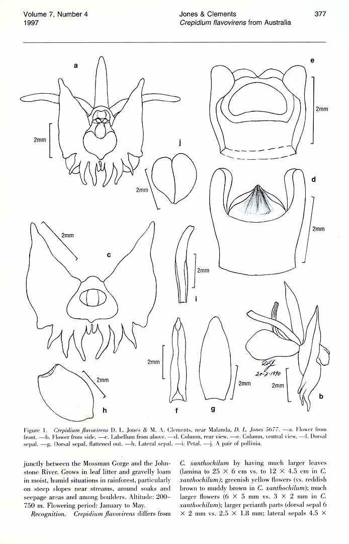 no HD illustration available (m5)