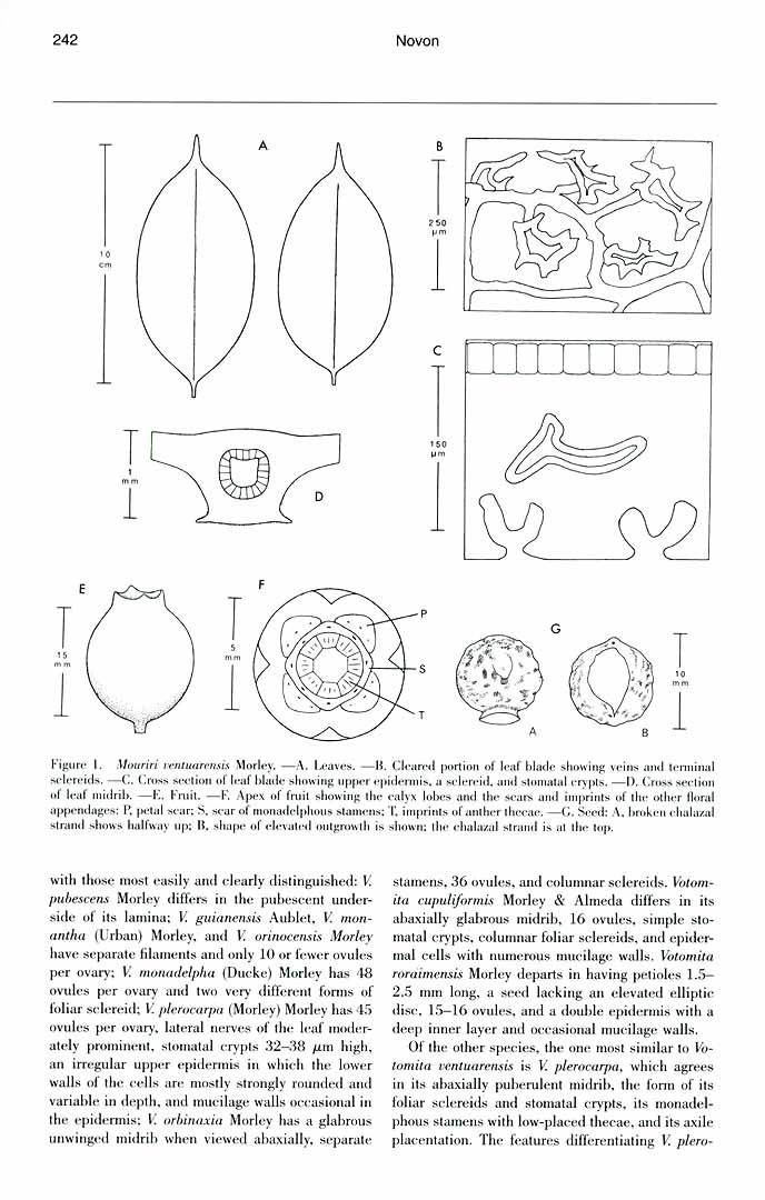 no HD illustration available (m5)