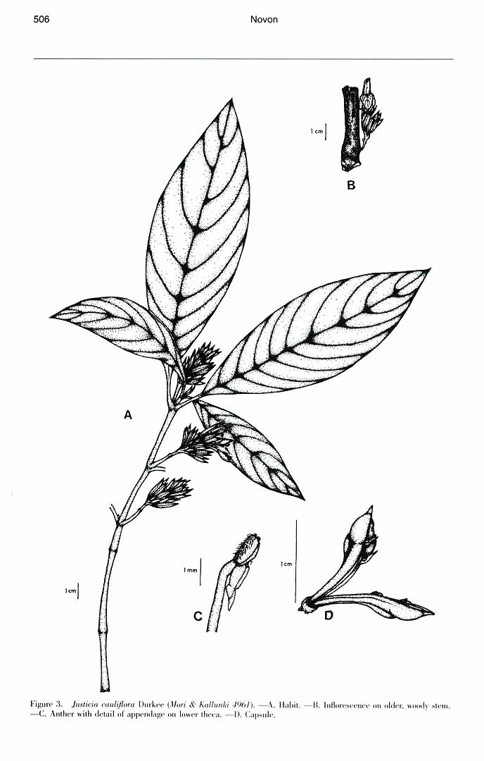 no HD illustration available (m5)