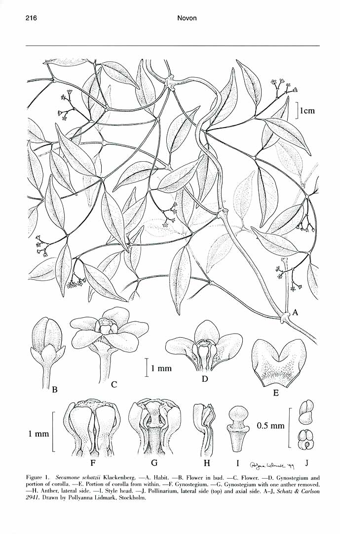 no HD illustration available (m5)