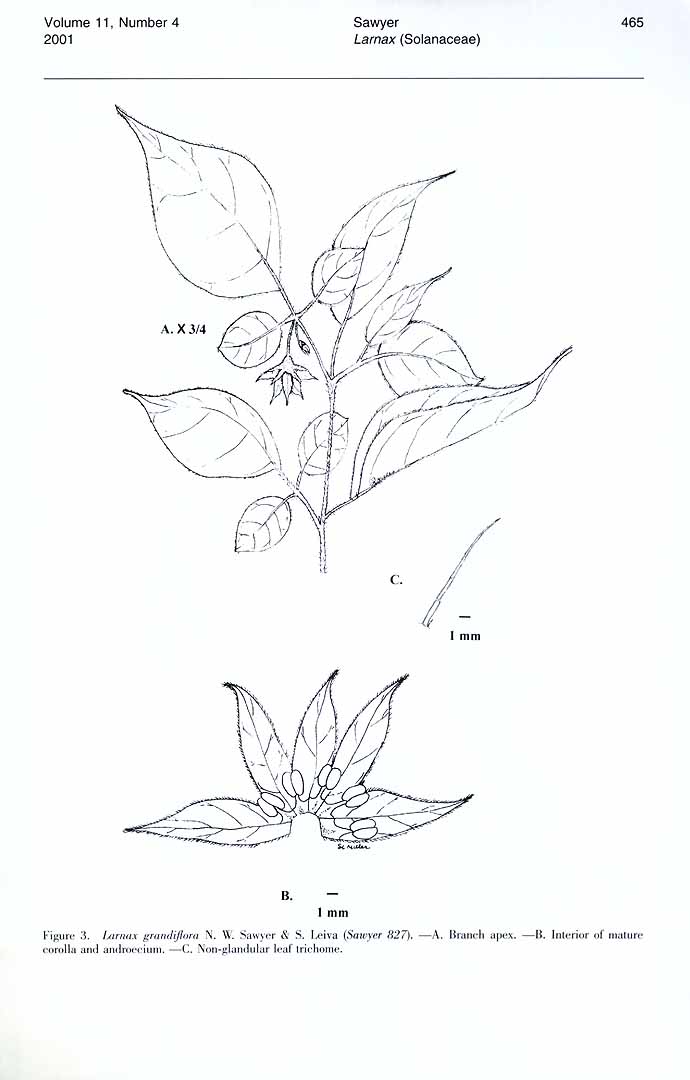no HD illustration available (m5)