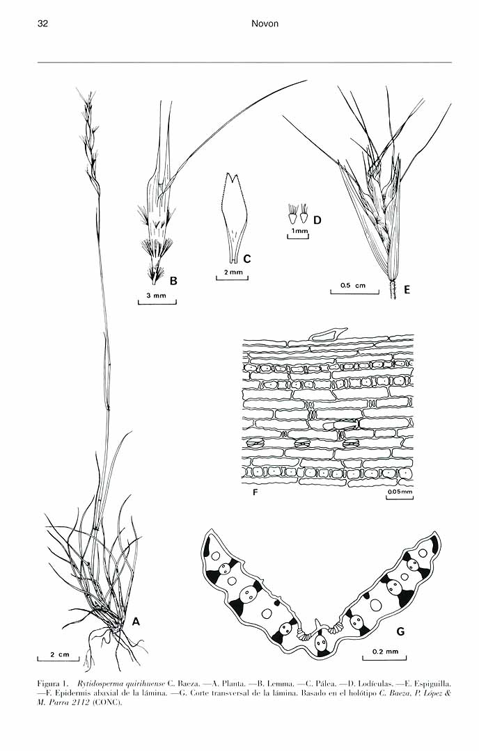 no HD illustration available (m5)