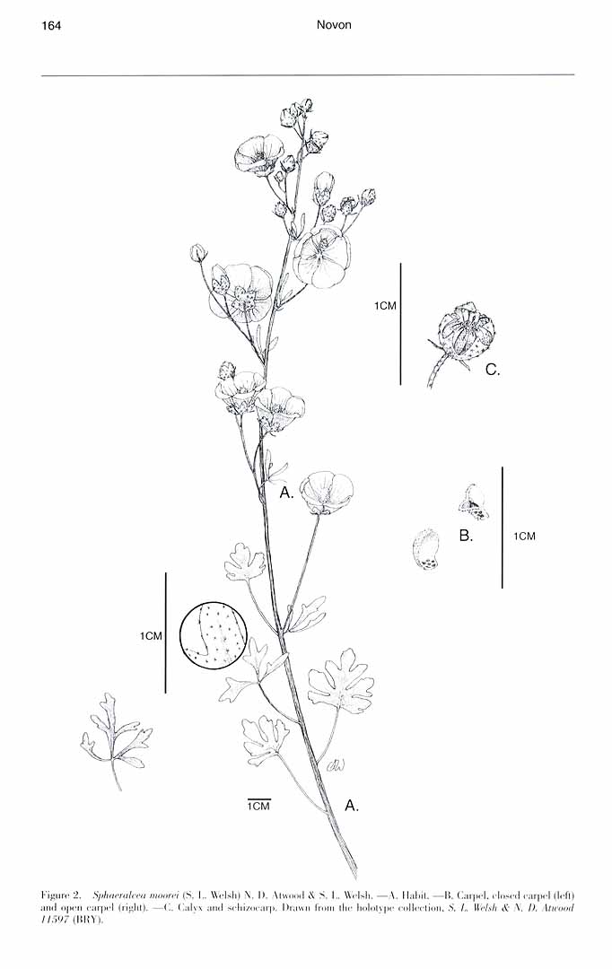 no HD illustration available (m5)