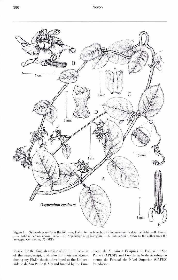 no HD illustration available (m1)