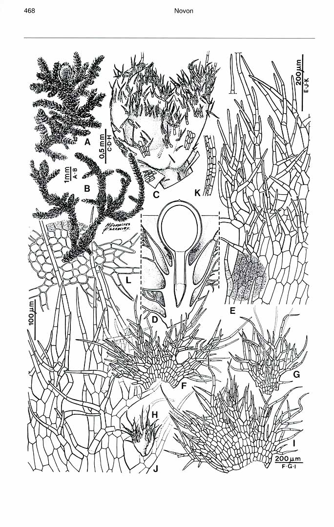 no HD illustration available (m5)