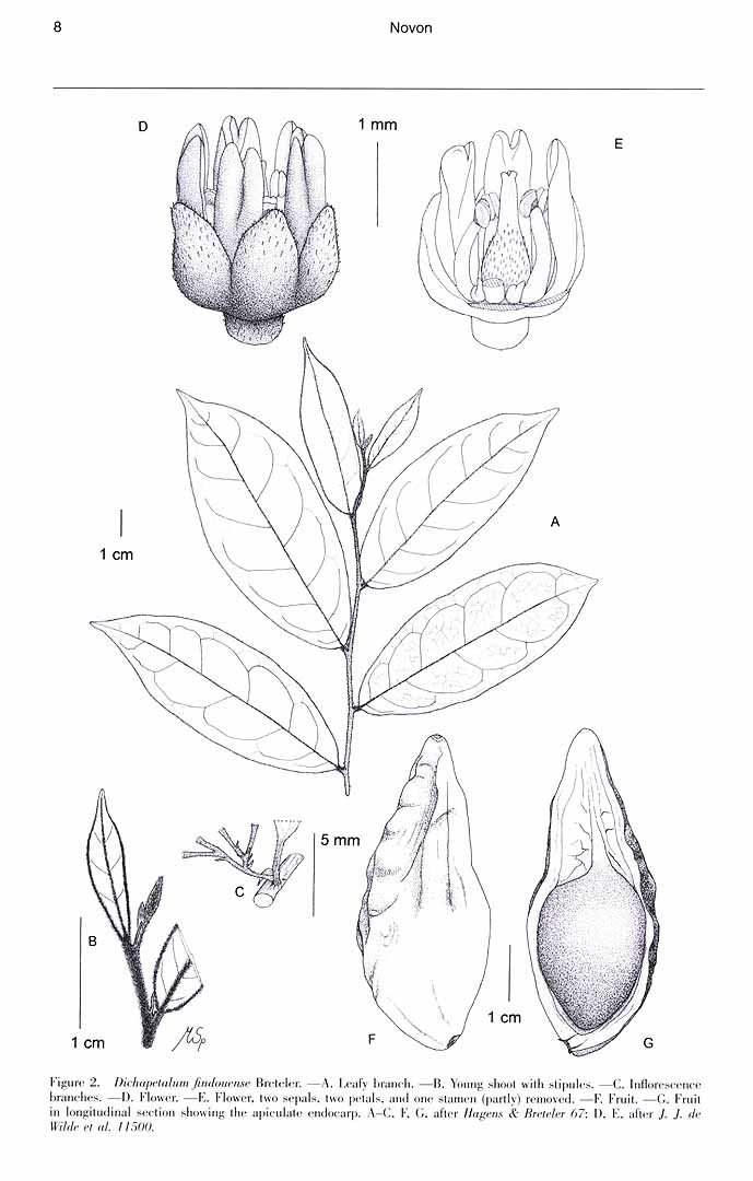 no HD illustration available (m5)