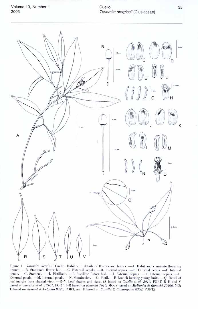 no HD illustration available (m5)