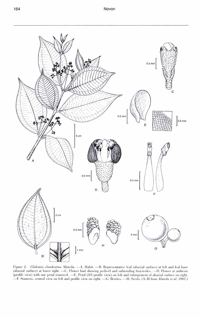 no HD illustration available (m5)