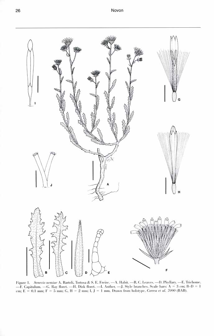 no HD illustration available (m5)