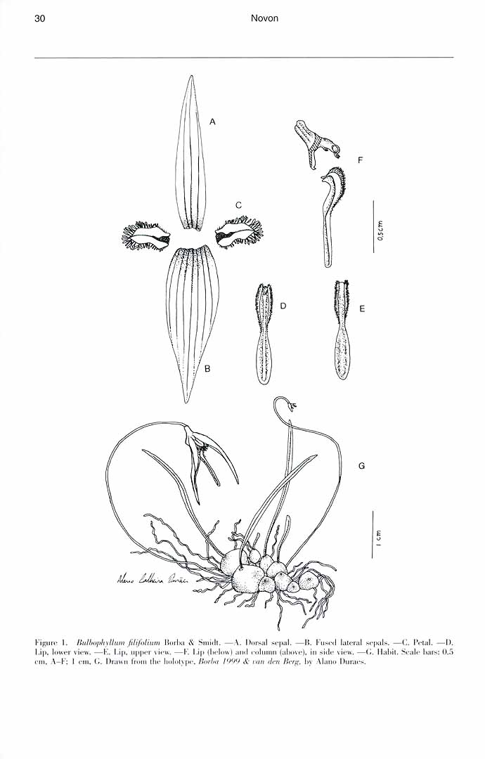 no HD illustration available (m5)