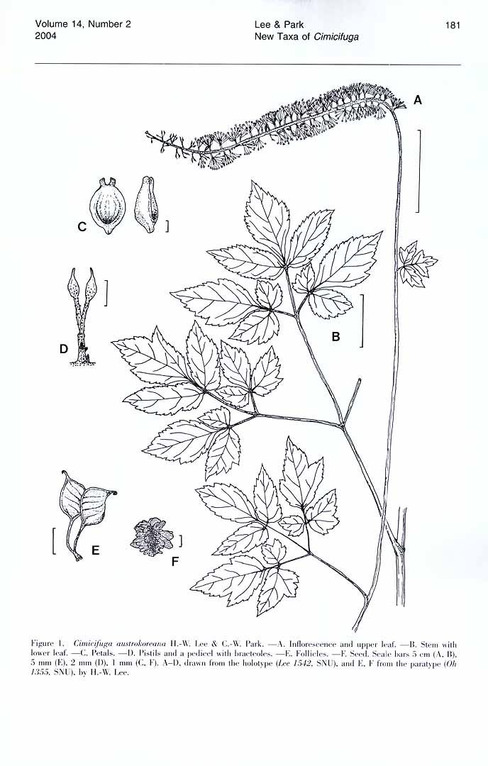 no HD illustration available (m5)