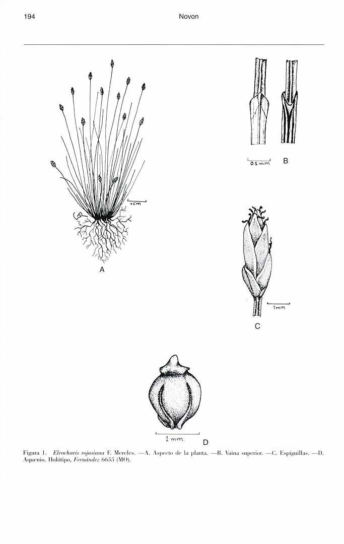 no HD illustration available (m5)