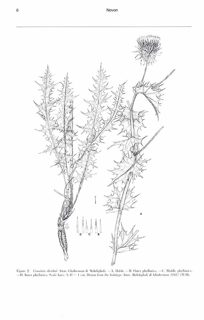 no HD illustration available (m5)