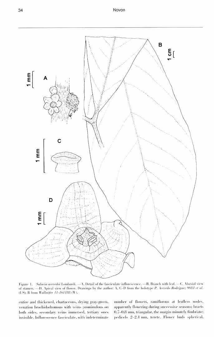 no HD illustration available (m5)