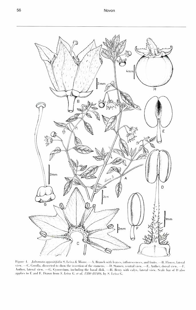 no HD illustration available (m5)