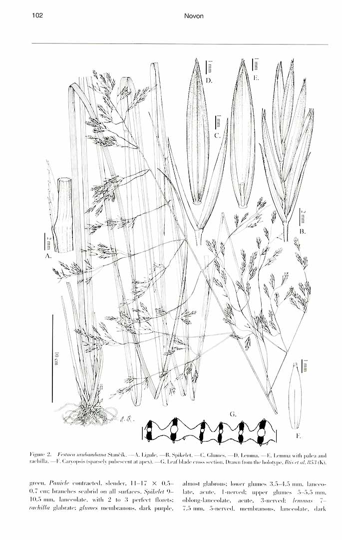 no HD illustration available (m5)