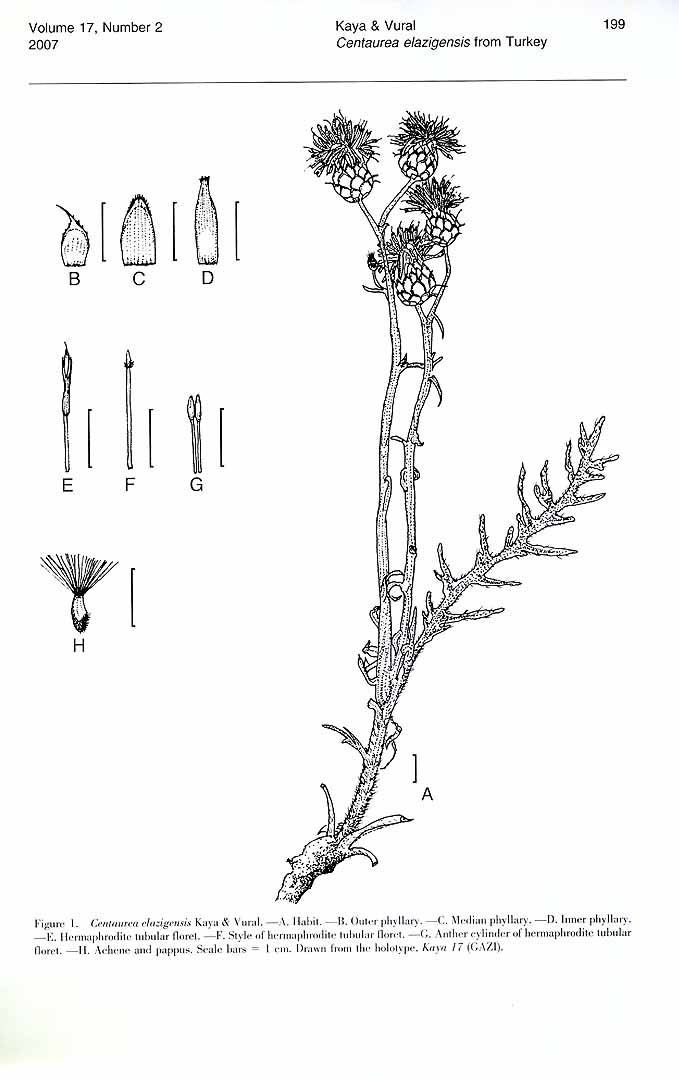 no HD illustration available (m5)