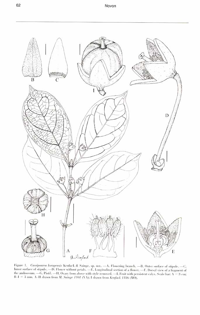 no HD illustration available (m5)