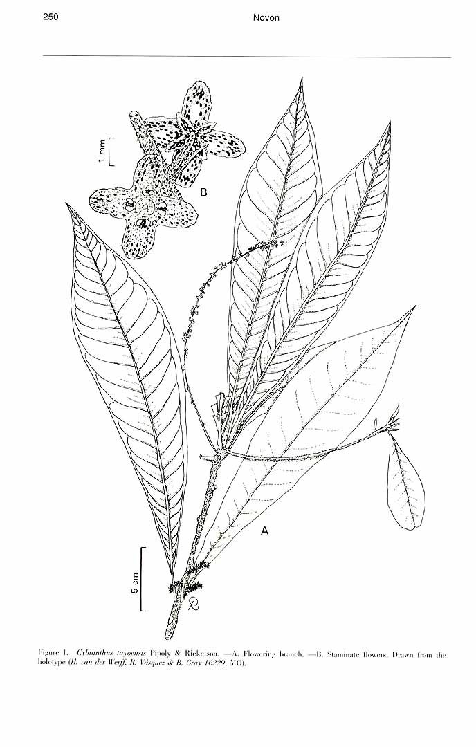 no HD illustration available (m5)