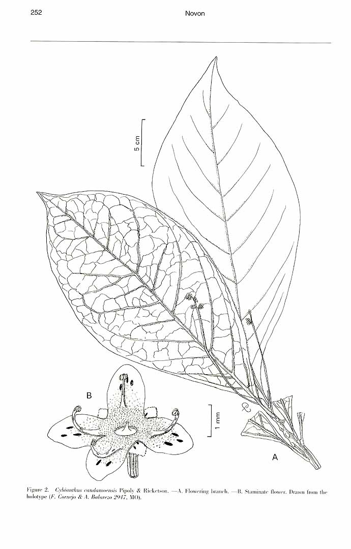 no HD illustration available (m5)