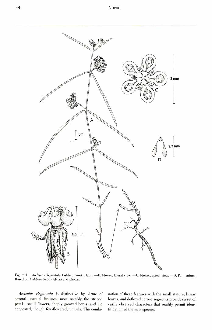 no HD illustration available (m5)