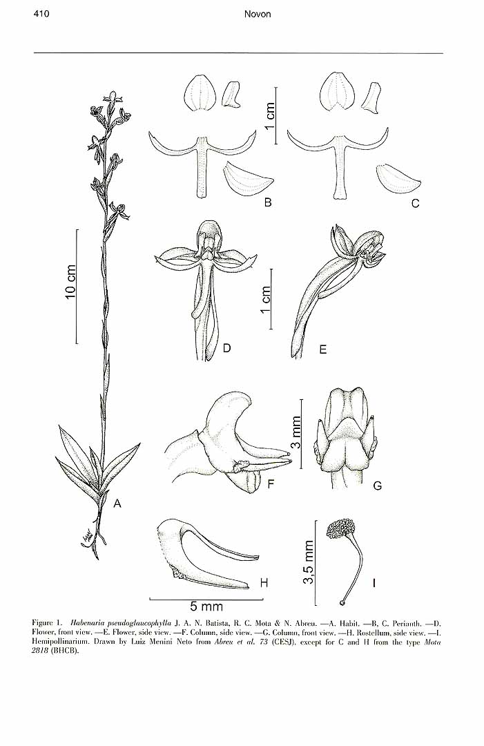 no HD illustration available (m5)