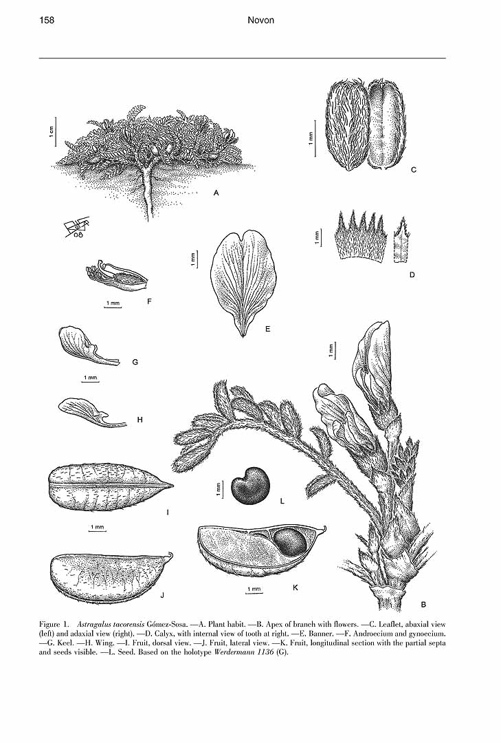 no HD illustration available (m5)