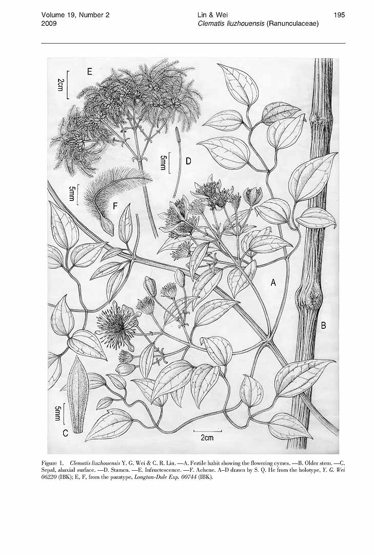 no HD illustration available (m5)