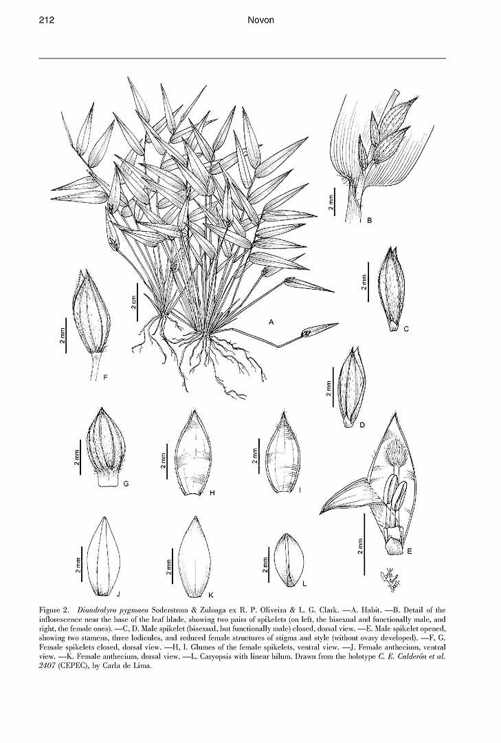no HD illustration available (m5)