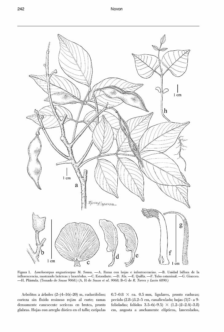 no HD illustration available (m5)