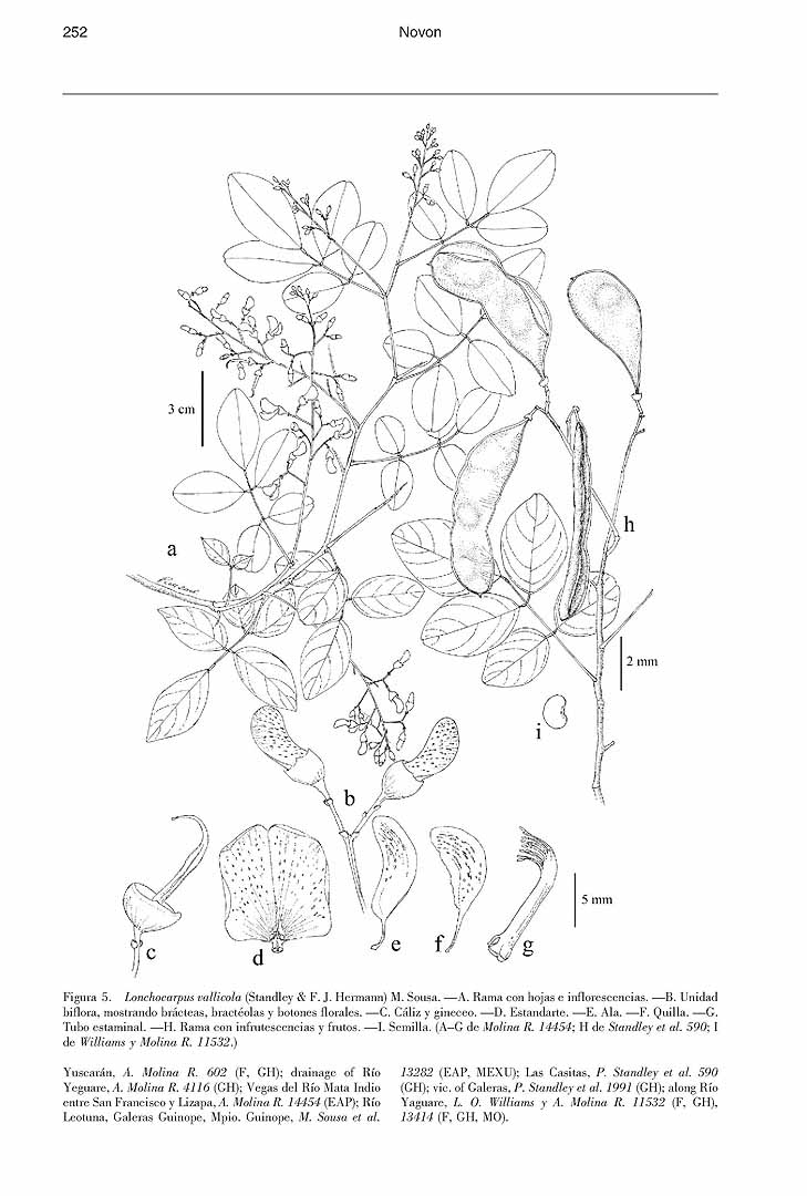 no HD illustration available (m5)