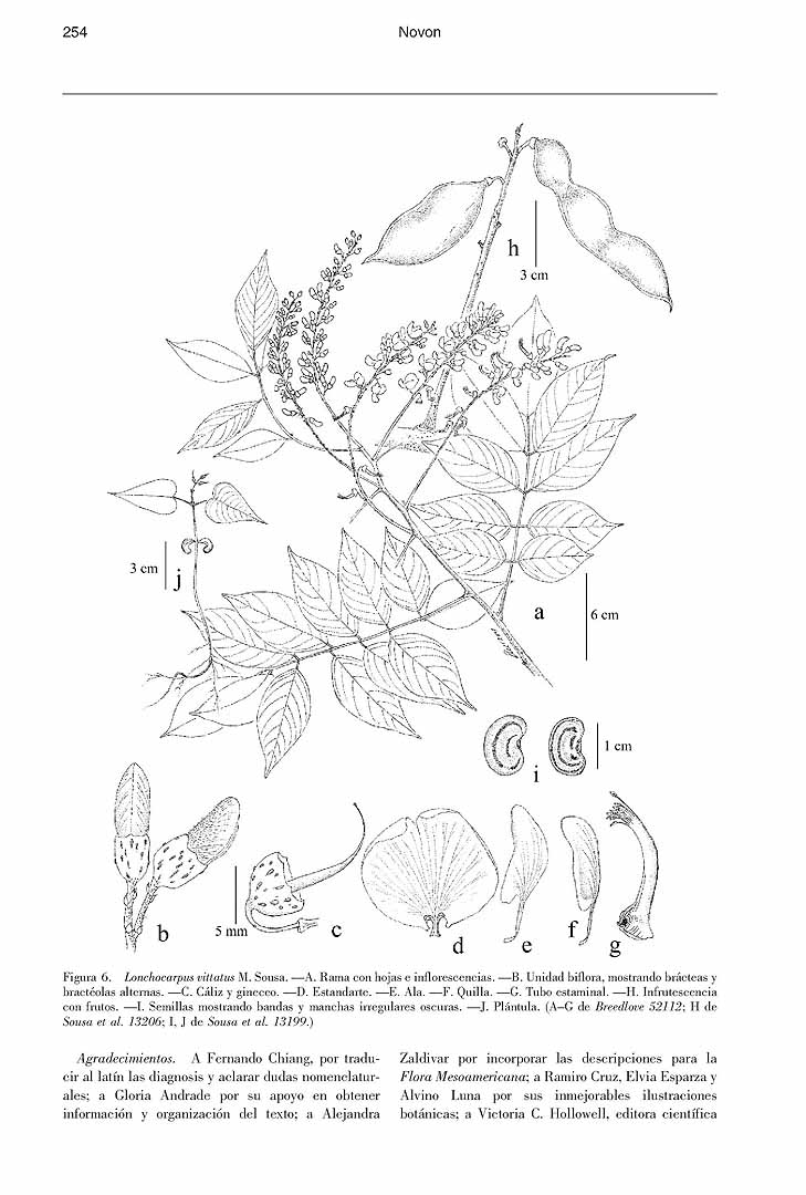 no HD illustration available (m5)