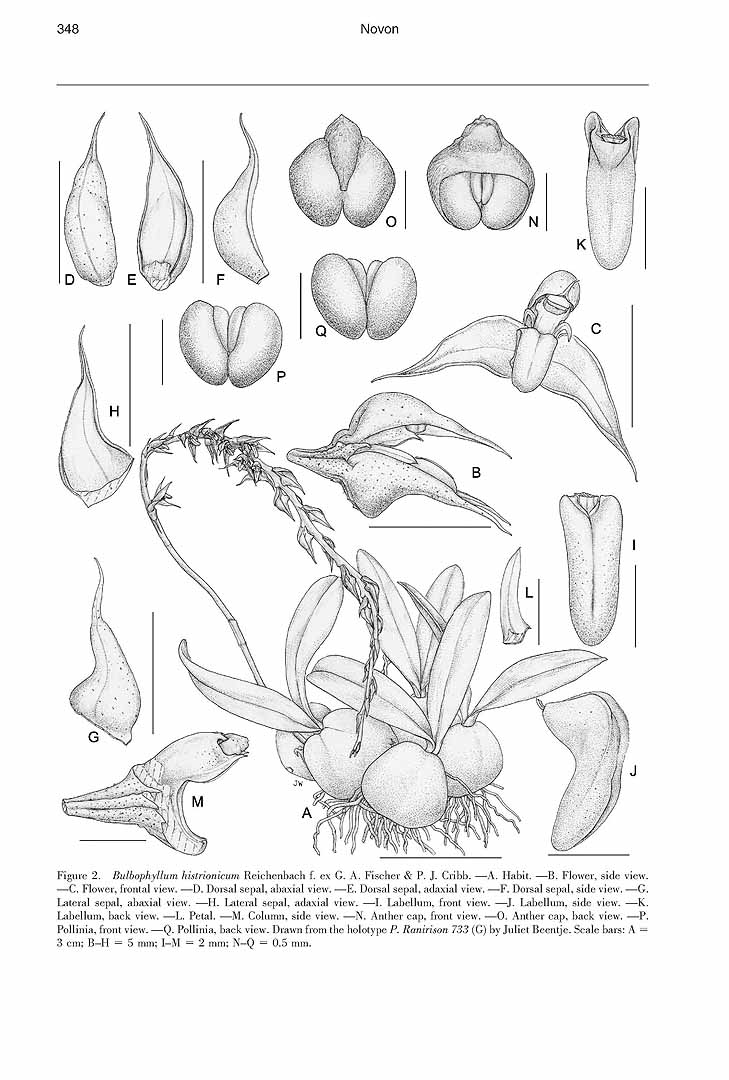 no HD illustration available (m5)