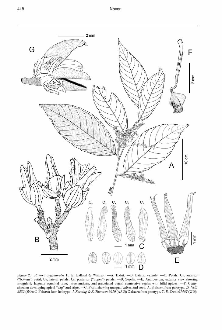 no HD illustration available (m5)