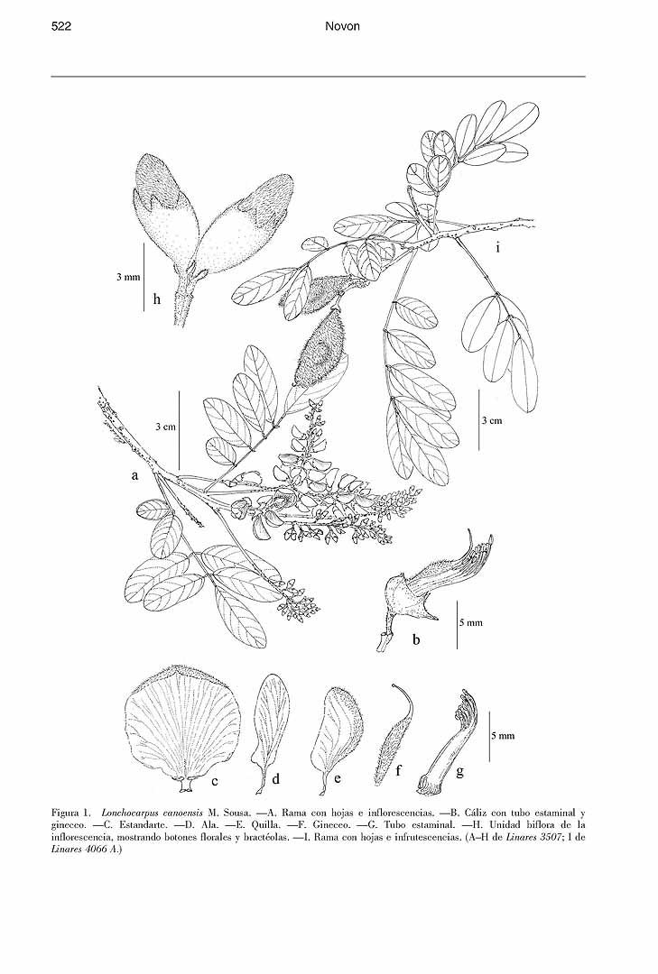 no HD illustration available (m5)