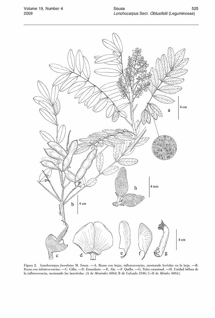 no HD illustration available (m5)