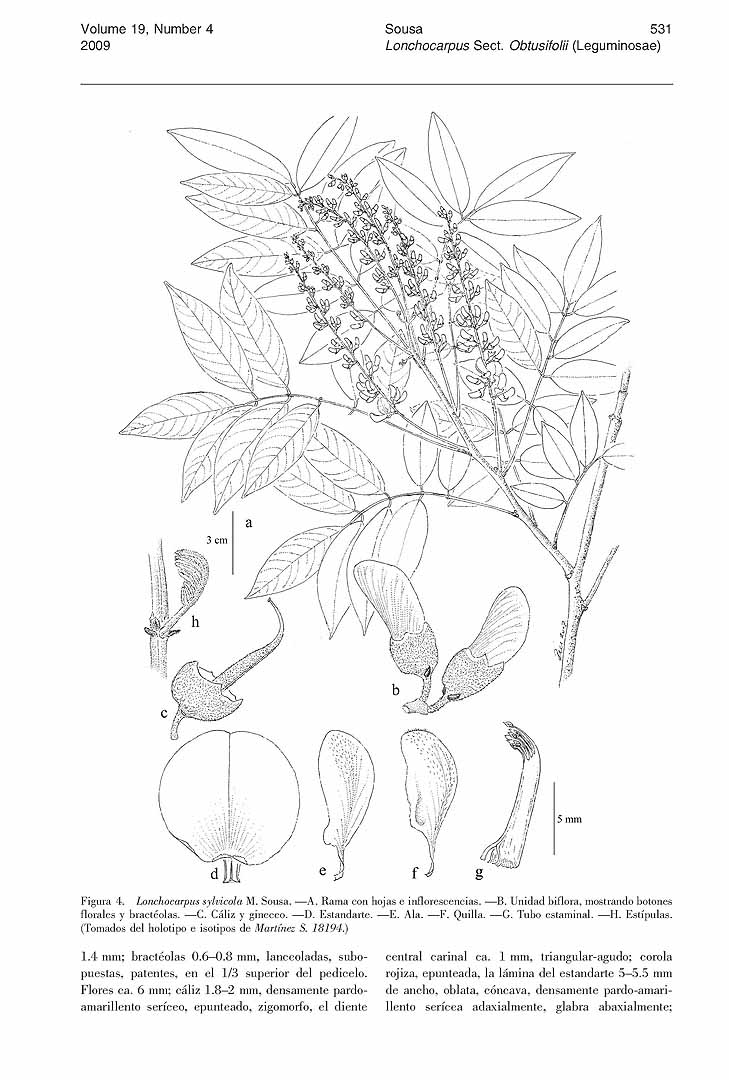 no HD illustration available (m5)