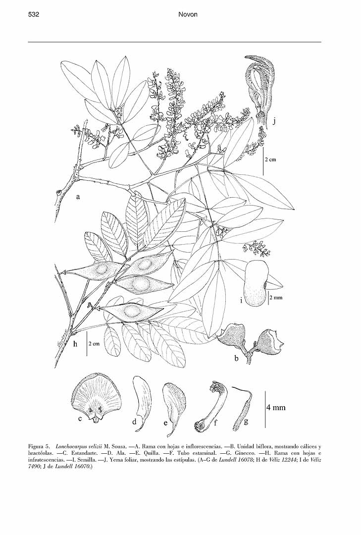 no HD illustration available (m5)