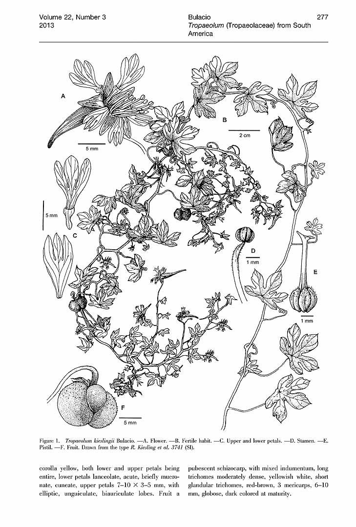 no HD illustration available (m5)