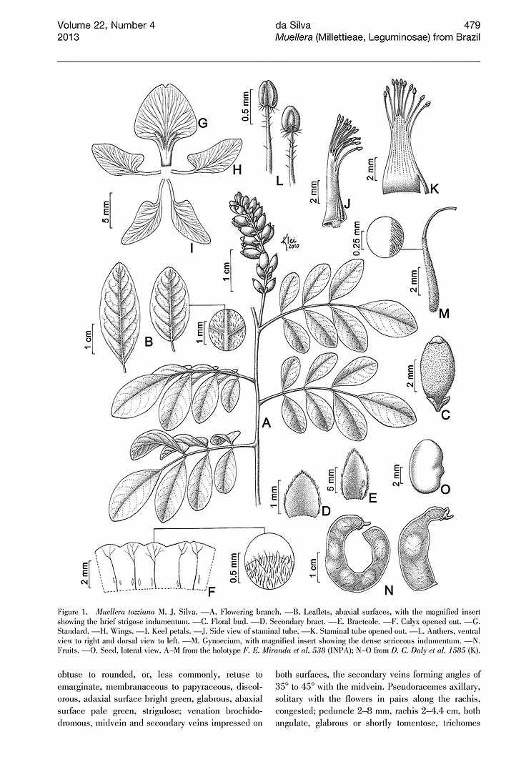 no HD illustration available (m5)