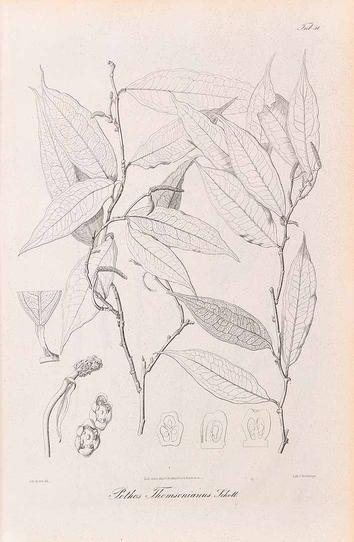 no HD illustration available (m5)