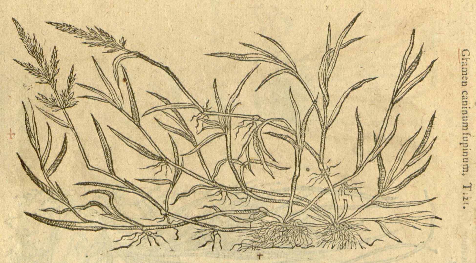 no HD illustration available (m5)