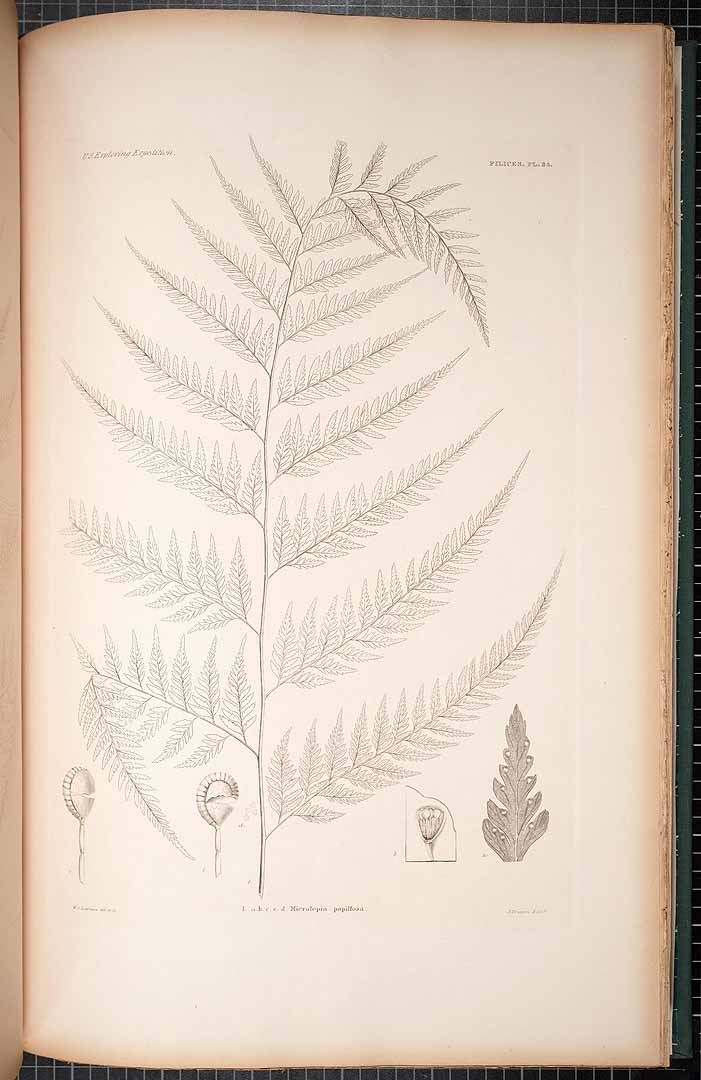 no HD illustration available (m5)