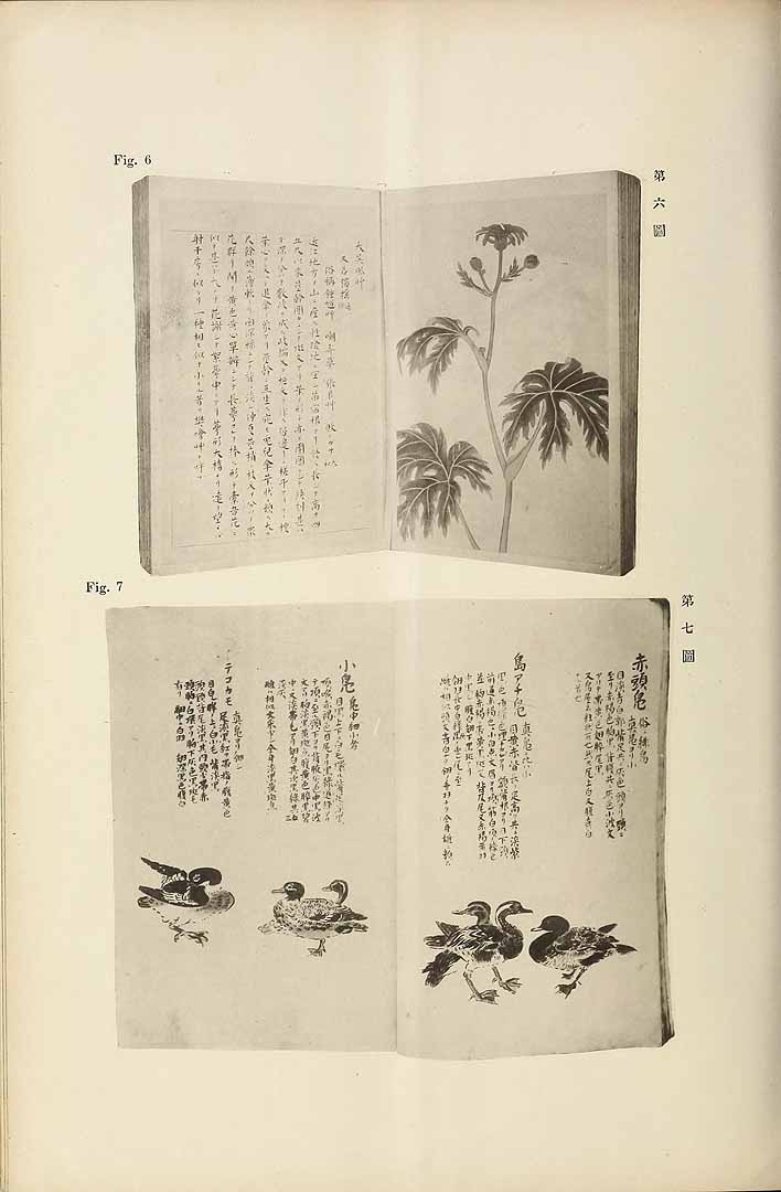 no HD illustration available (m5)
