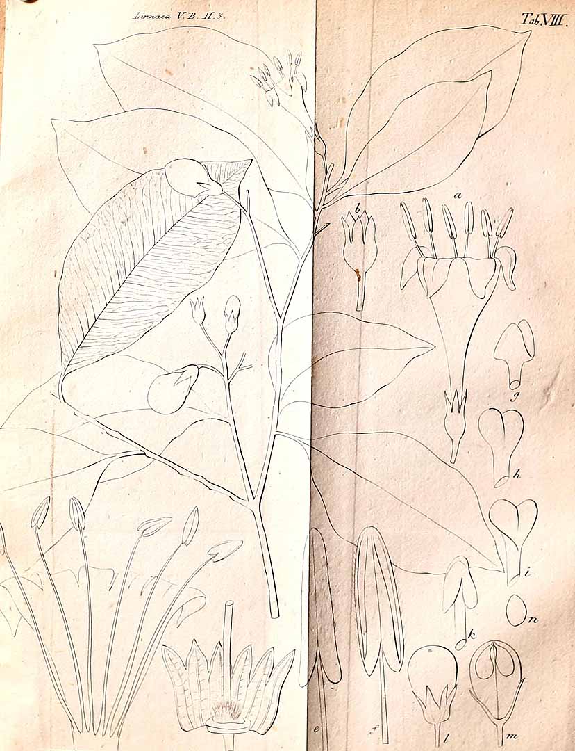 no HD illustration available (m5)