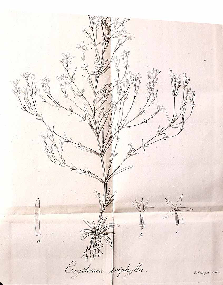 no HD illustration available (m5)