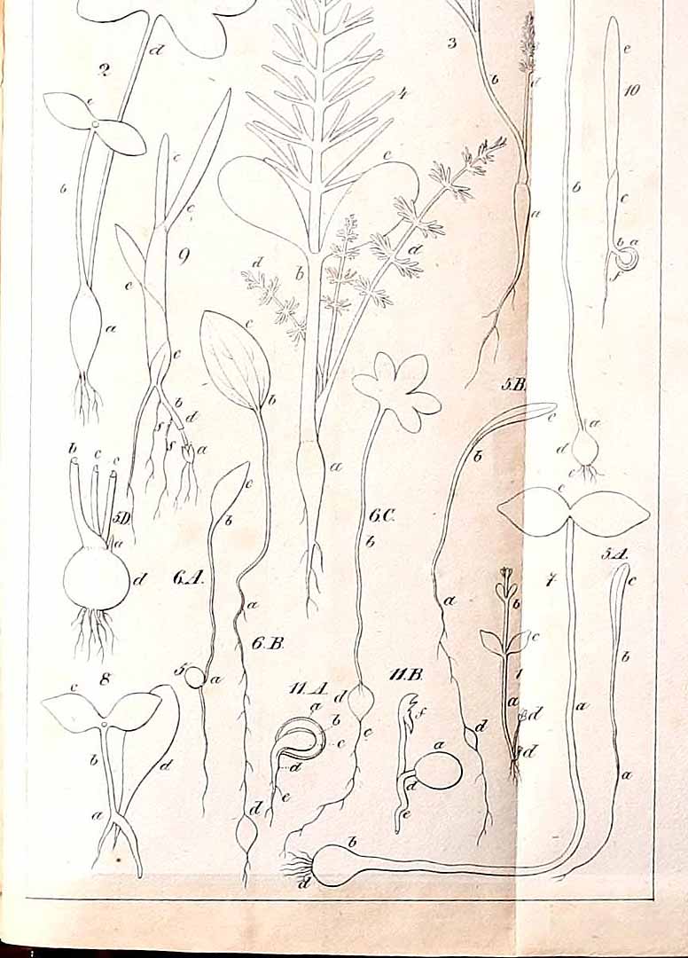 no HD illustration available (m5)
